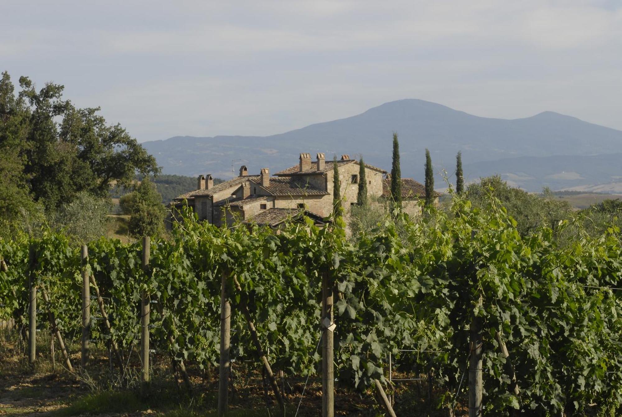 Agriturismo Cerreto Pienza Exterior foto